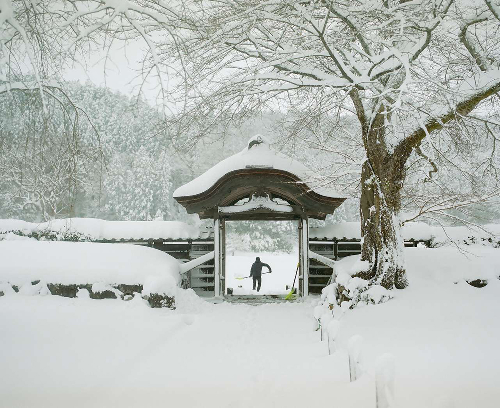 特別史跡一乗谷朝倉氏遺跡