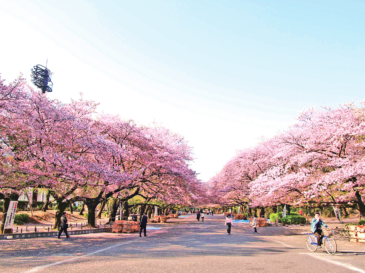 上野恩賜公園