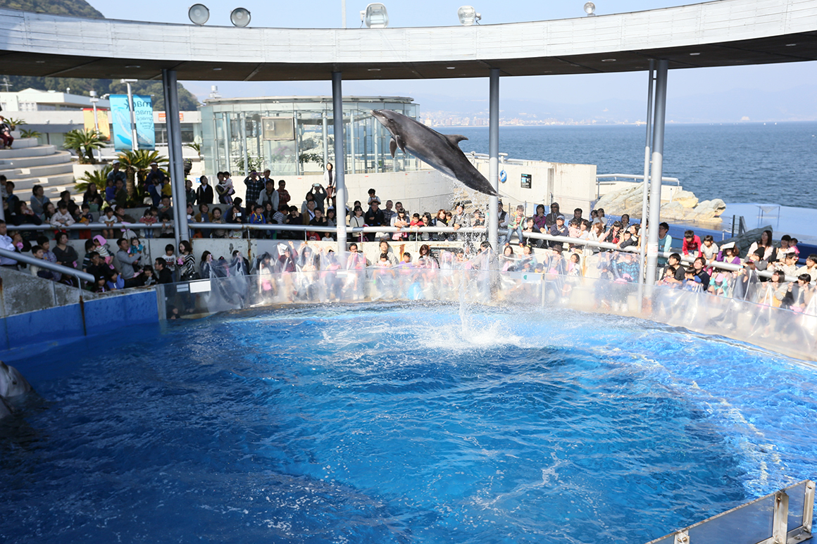 大分マリーンパレス水族館「うみたまご」