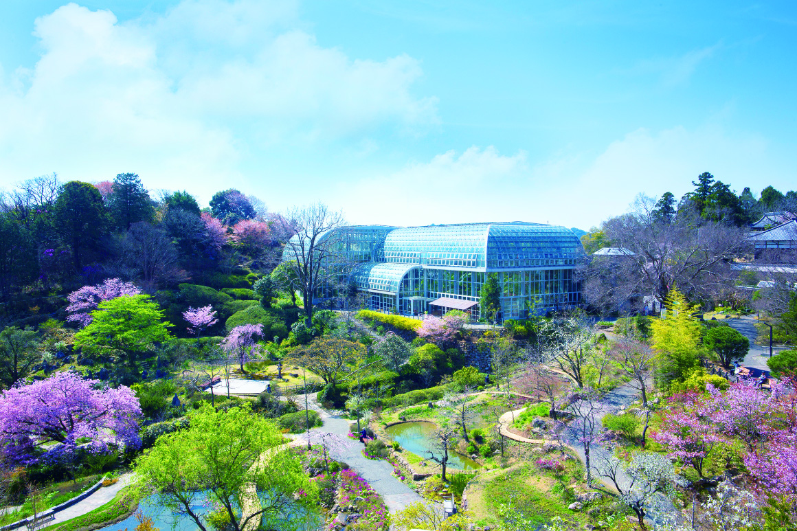 高知県立牧野植物園