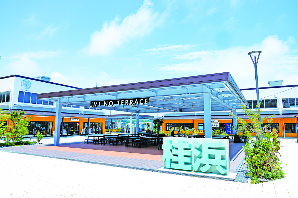 桂浜 海のテラス
