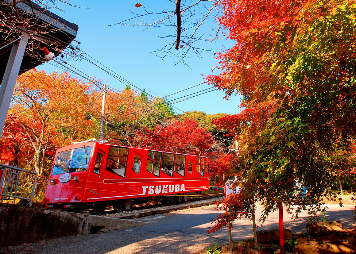 筑波山の紅葉（筑波山ケーブルカー＆ロープウェイ）