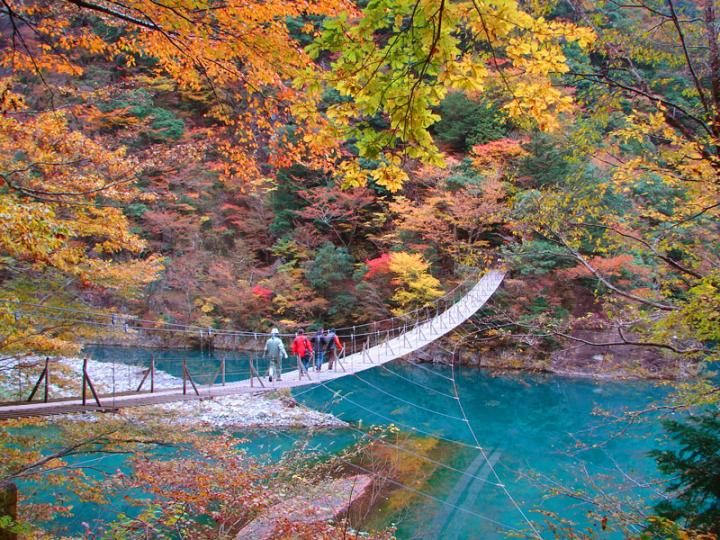 寸又峡の紅葉