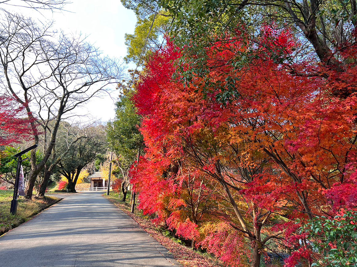 田丸城跡