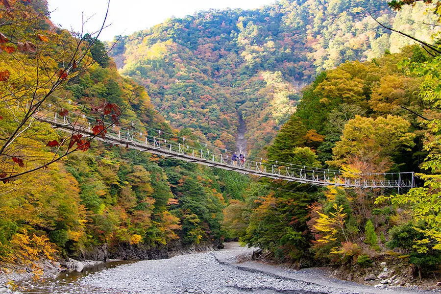 寸又峡の紅葉